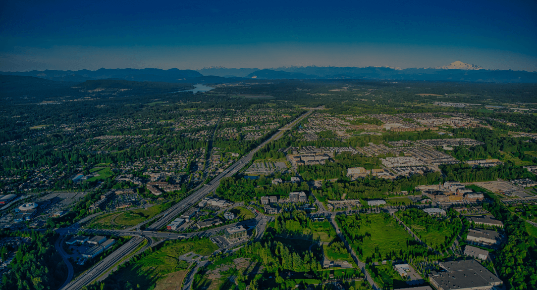 langley movers excellent movers