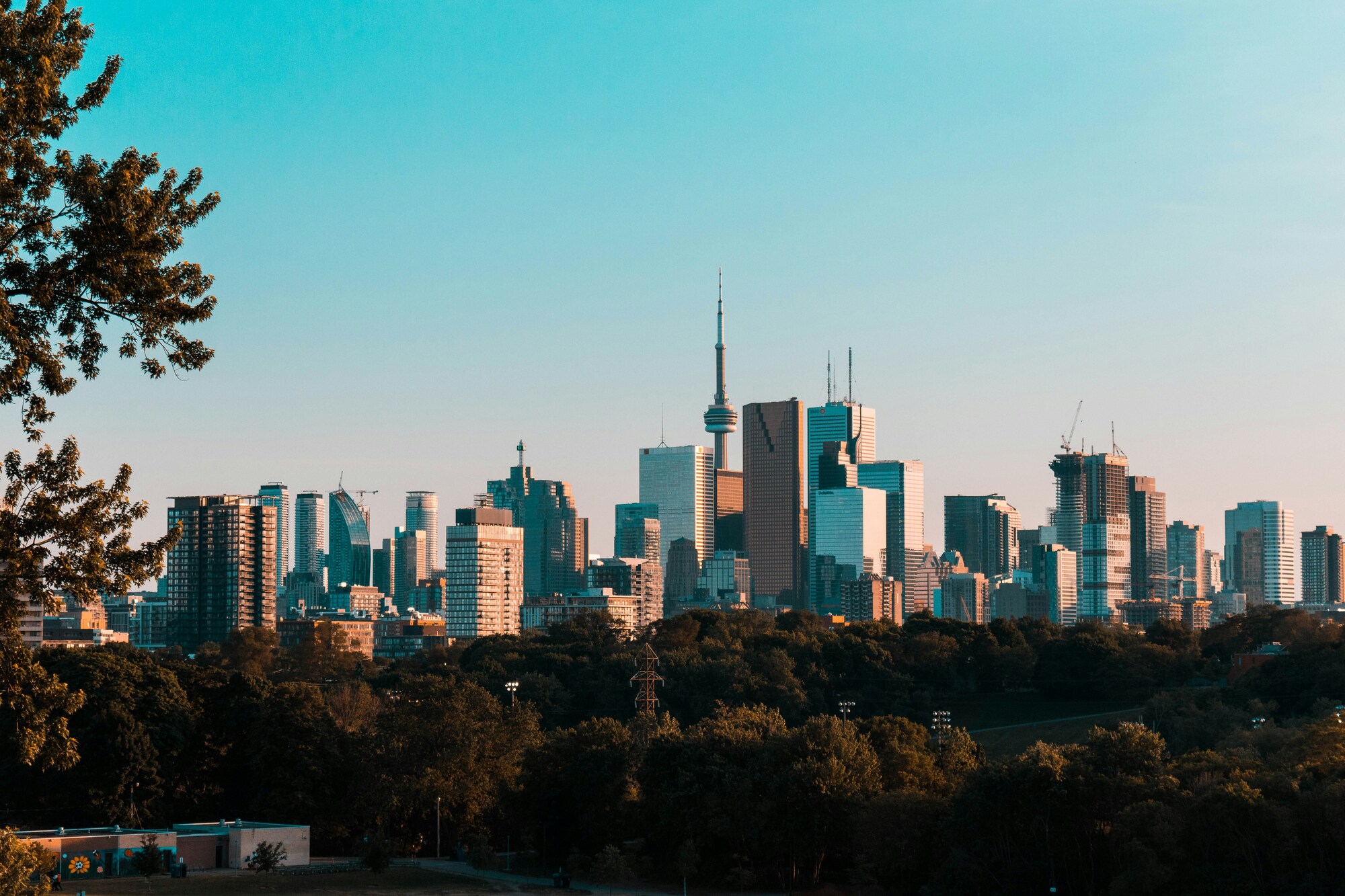 toronto local movers